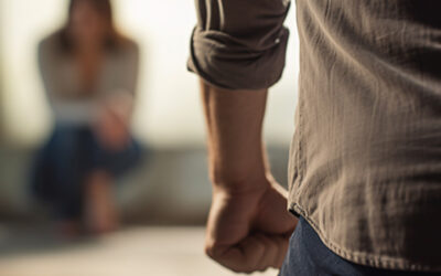 Siblings Feuding Over a Business: Can You Get a Domestic Violence Protection Order?